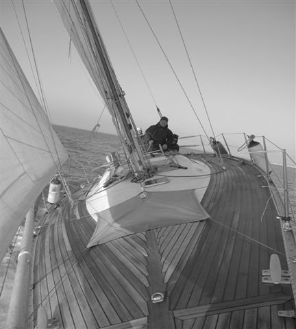 [Immagine: 200934141835_IMG_02881.JPG]